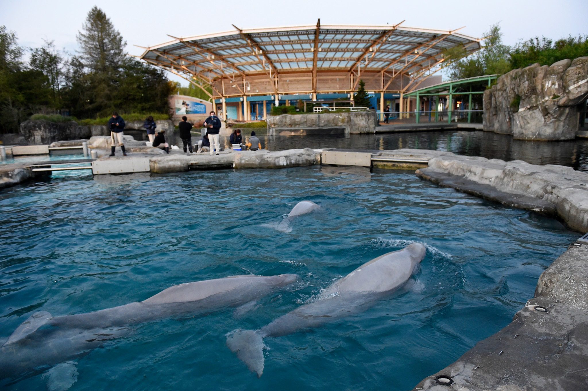 Get 25% off our dolphin & seal show tickets when you show your