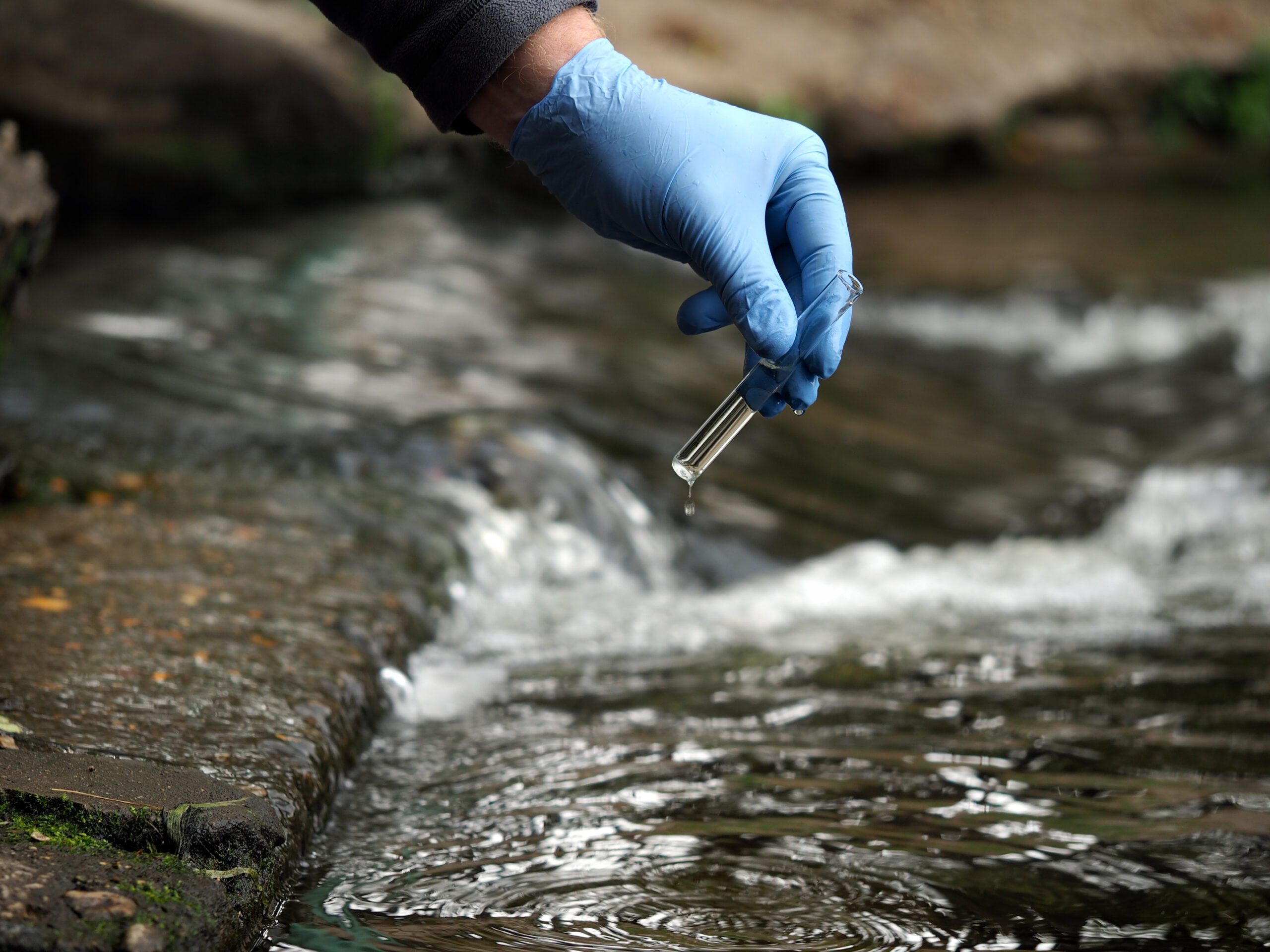 Local Health Officials Use Dna Testing To Pinpoint Sources Of Water Pollution Ct Examiner